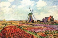 Tulips of Holland Claude Monet