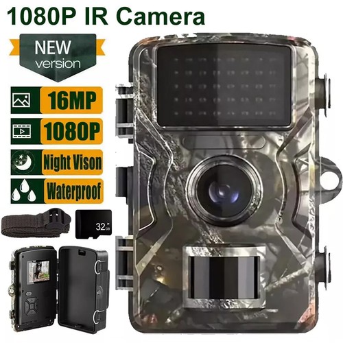 Wildlife hunting trail - trail, camera