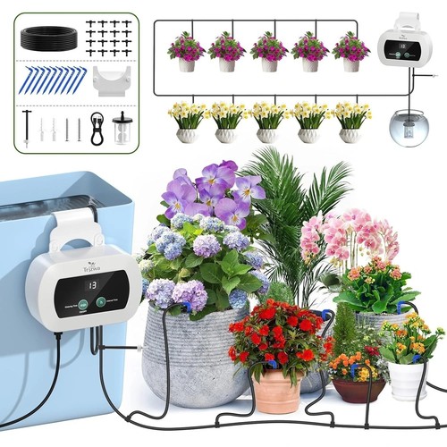 Automatic plant watering - plant,