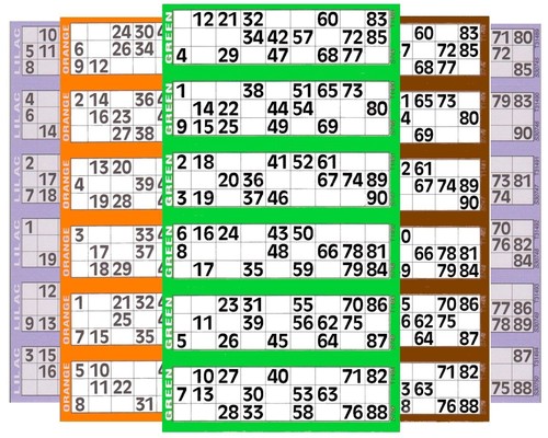 Bingo tickets 300 to - , 6