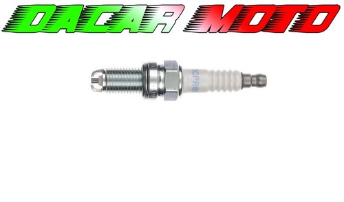 Ngk dcpr8ekc candle - dcpr8ekc,