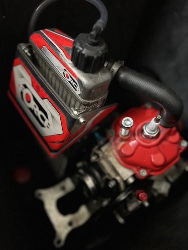 Kart racing rotax engine - racing,