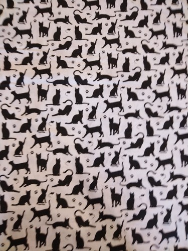 Small black cats - , with