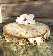 6-23CM Birch Wood Log Slices Discs Wedding Rustic cake stand Place mats coaster