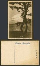 Japan Old Postcard Evening