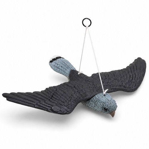 Falcon flying hawk decoy - hawk, bird