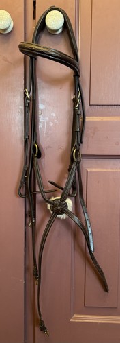 Shires avignon grackle - shires,
