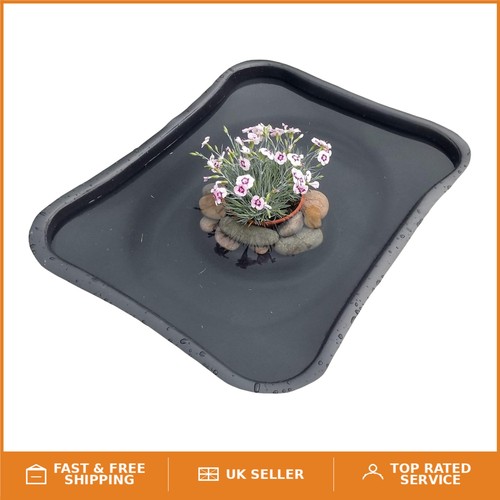 Family friendly micro habitat - family-friendly,