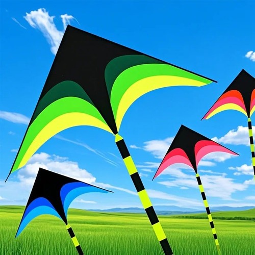 Large delta kite for - delta,