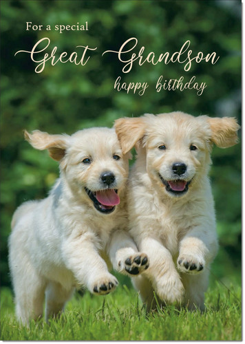 Doodlecards great grandson - great,