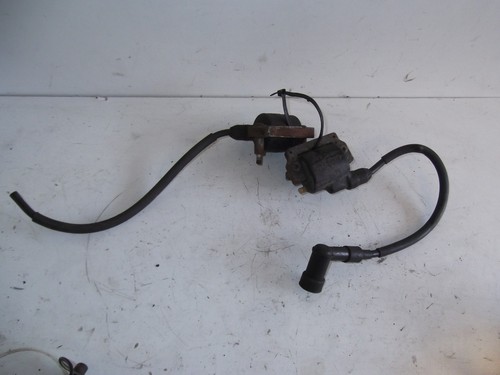 Kawasaki gpz 305 - gpz, coils