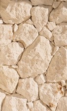 White Limestone Wall Tiles