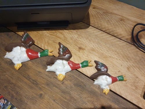 Flying mallard duck wall - flying,