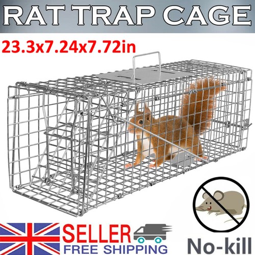 Large humane live - large, animal