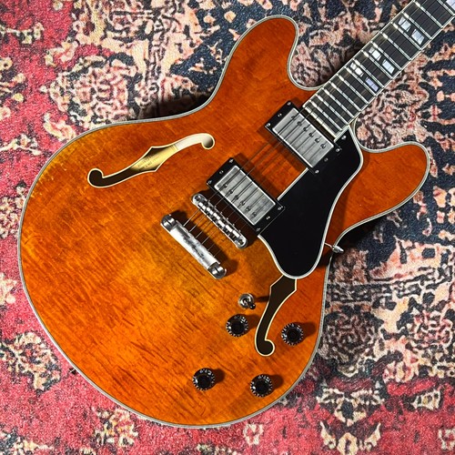 2023 eastman t59 - t59/v-amb,