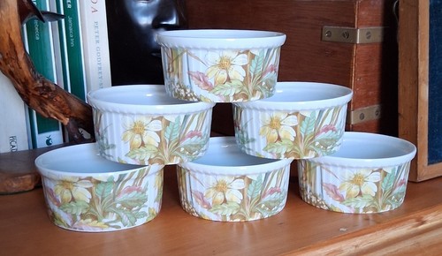 Pillivuyt porcelain france - x,