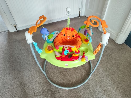 Fisher price jumperoo - fisher-price,