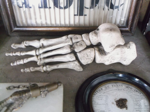 Rare antique 19th anatomical - rare,