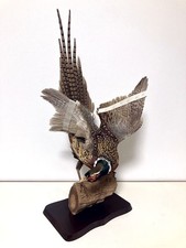 stuffing, animals,Real Bird