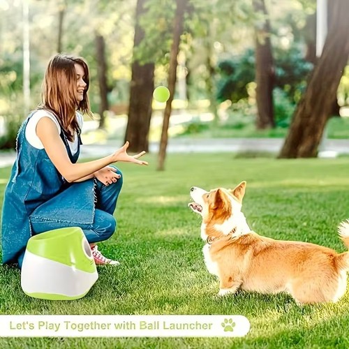 Automatic dog ball launcher - automatic,