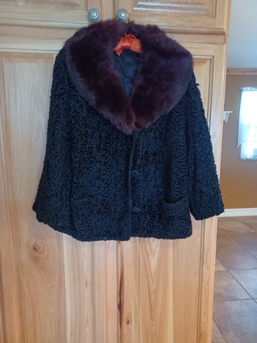 Vintage black curly persian - vintage,