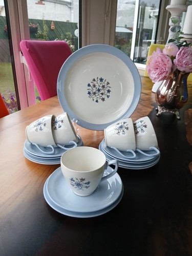 Copeland spode hamilton - 16,