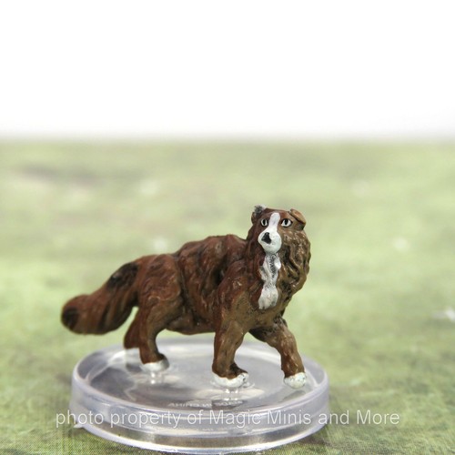 Wild shape polymorph cat - shape, #4