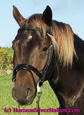 STUBBEN 2300 Leitrim COMFORT