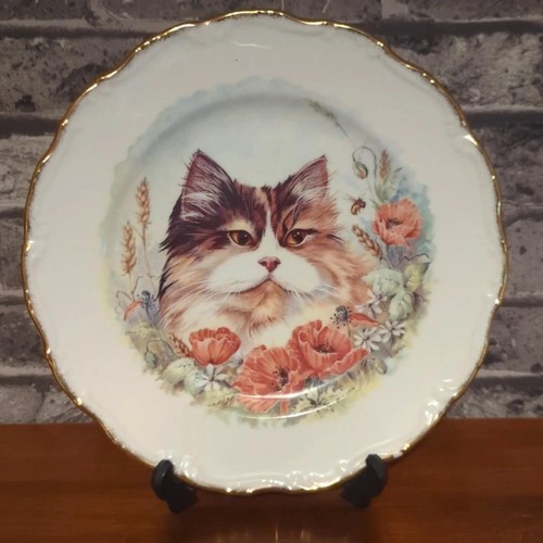 Royal vale bone china cat - china,