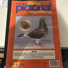 Racing Pigeon Pictorial