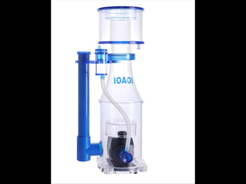 Ioaoi saltwater aquarium