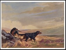 GORDON SETTER DOGS IN MOORLAND SCENE VINTAGE STYLE DOG ART PRINT POSTER
