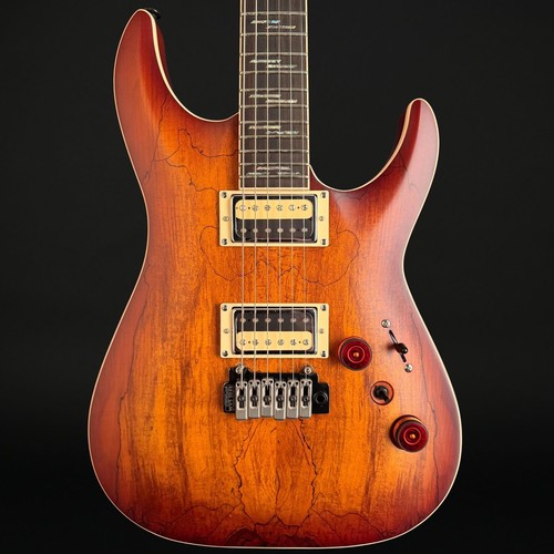 Schecter exotic spalted - schecter,