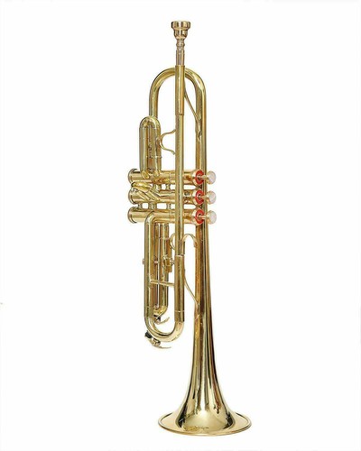 Summer sale trumpet - summer, brass