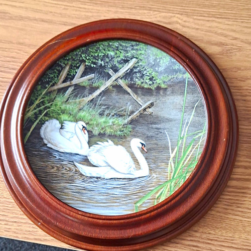 Royal worcester quiet waters - quiet,