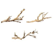 Exo Terra Forest Branch Reptile Lizard Vivarium Natural Decor 30cm 45cm 60cm
