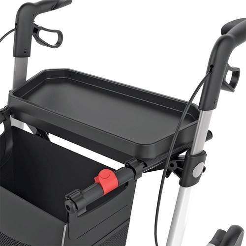 Transport serving tray medium - transport,