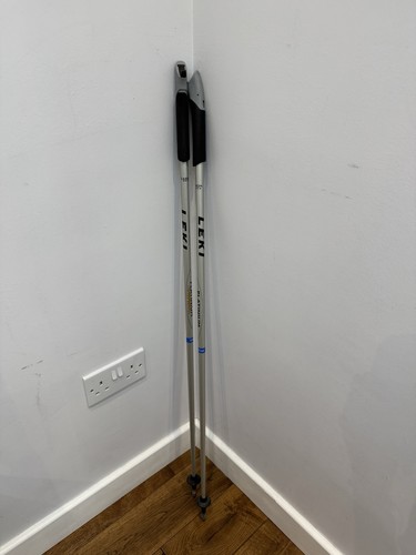 Leki platinum nordic - platinum, walking