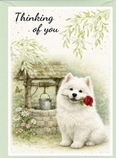 Samoyed Dog Thinking of You