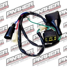 Pit Bike Digital Wiring Loom -