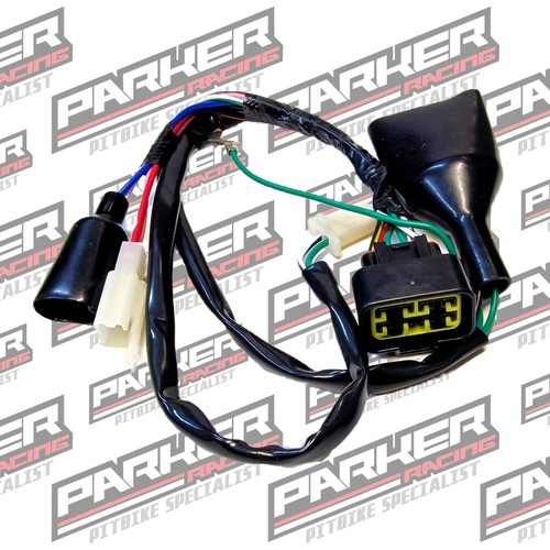 Pit bike digital wiring - loom,
