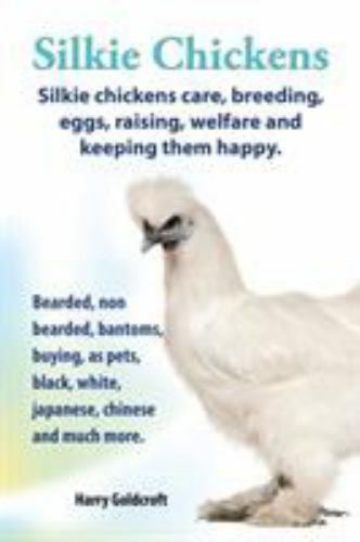 Silkie chickens - chickens.,