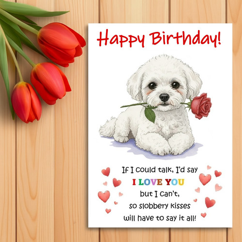 Bichon frise birthday card - bichon,