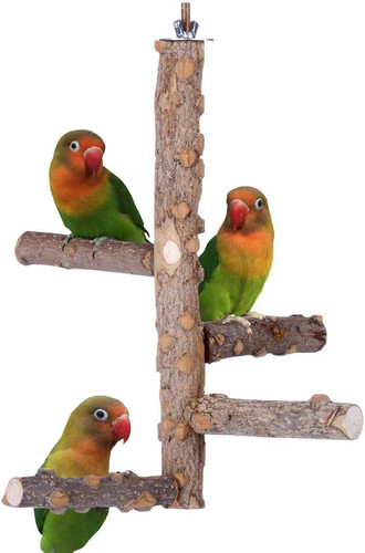 Bird perch nature wood - perch, stand