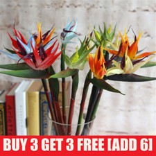 Eco Bird of Paradise Stems -