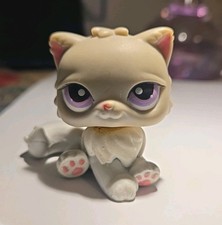 #251 Grey Persian Cat With