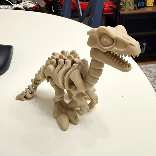 Dinosaur rex skeleton - dinosaur, t-rex