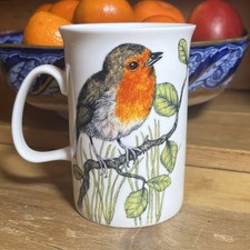 Robin Bird Mug-Waterside Fine