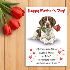 German Shorthaired Pointer