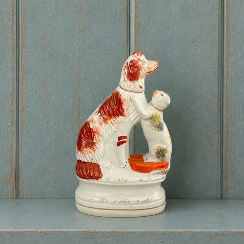Staffordshire cat and dog - cat,